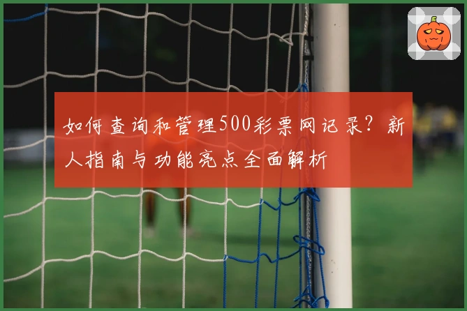 如何查询和管理500彩票网记录？新人指南与功能亮点全面解析
