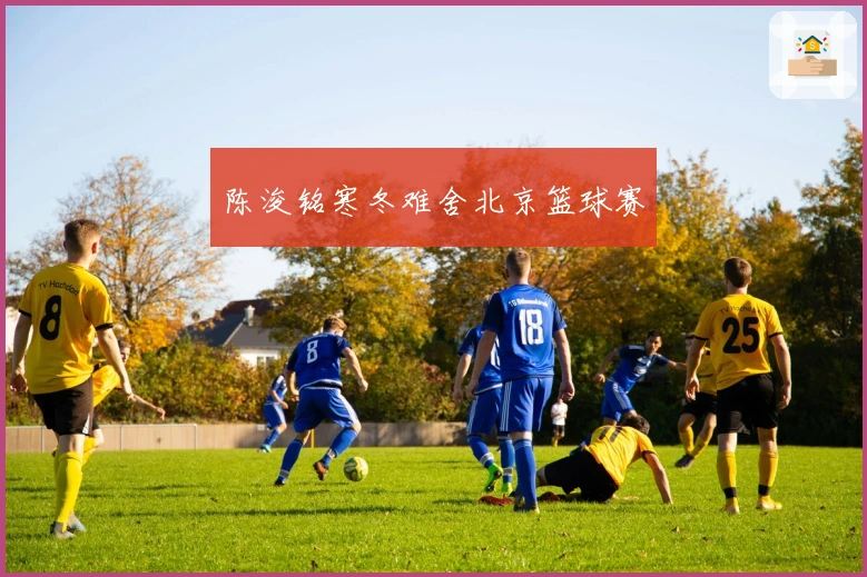 陈浚铭寒冬难舍北京篮球赛