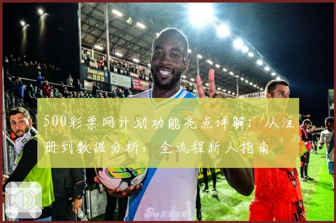500彩票网计划功能亮点详解：从注册到数据分析，全流程新人指南