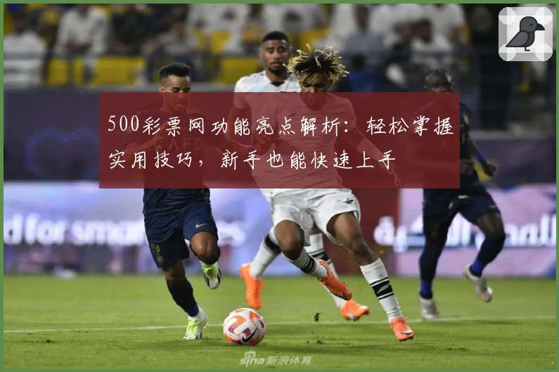 500彩票网功能亮点解析：轻松掌握实用技巧，新手也能快速上手